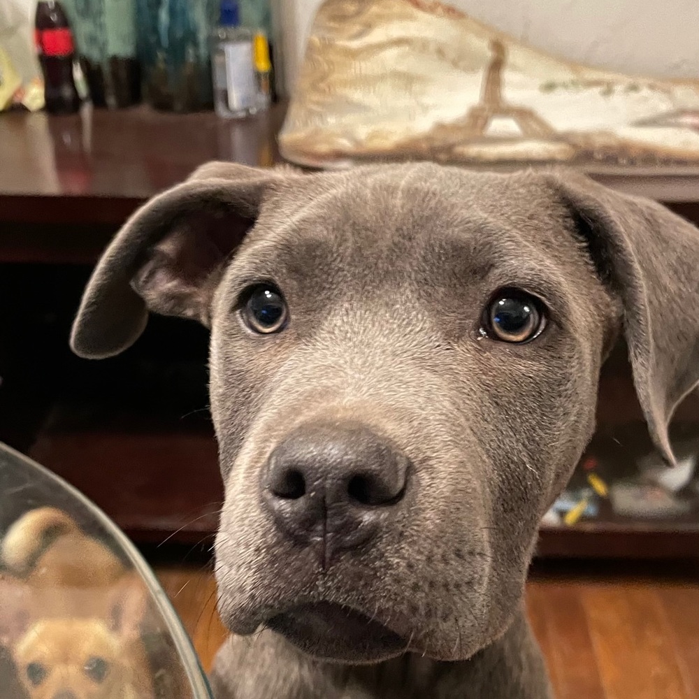 Meet your Posher, Fito
